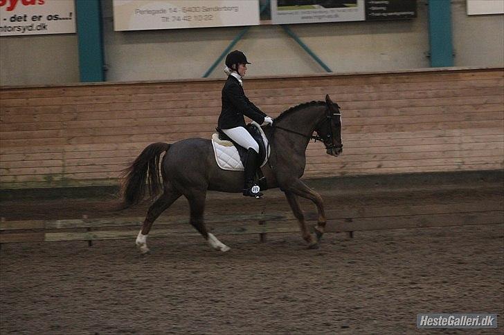 DSP Fandango  SOLGT - sønderborg  - la2 og la4 - to 1. pladser  billede 12