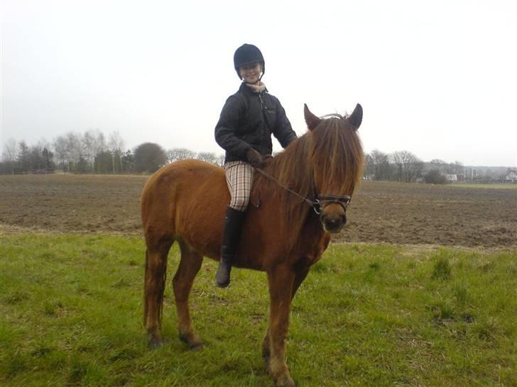 Anden særlig race avelon "solgt" - den første gang jeg red avelon billede 19