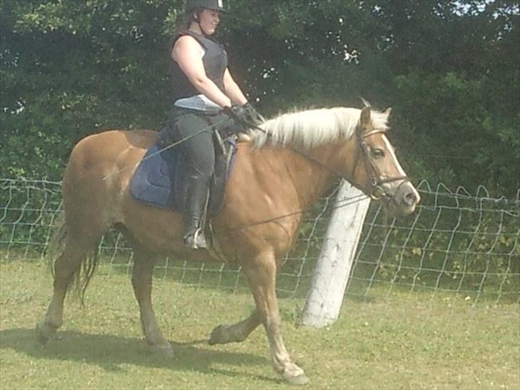 Haflinger Nina[trækhesten] - De 2 der rider ´dressur´ I kan vel se, at de er klar til ol! xD billede 20