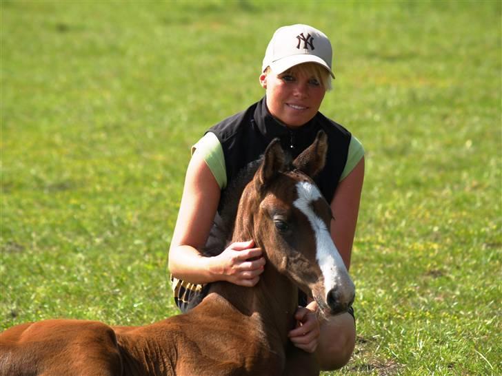 Dansk Varmblod Quite Curious CC - R.I.P billede 20