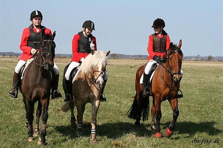 Anden særlig race Fighter Dianado *R.I.P.* - Figt&Pernille og Reja&Sabina og Karco&Cathrine jagt 09 billede 20