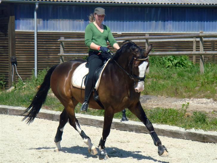 Dansk Varmblod Marti Kilen SOLGT - Maria og Marti maj 2009 billede 14