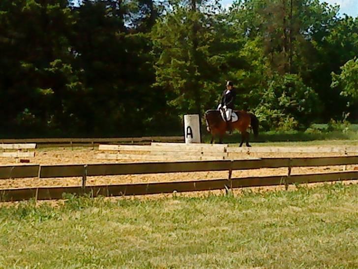 Anden særlig race Cassiopeia - Stævne på BRA . LB1 -  vi skal lige til at ride op ud midterlinjen billede 10