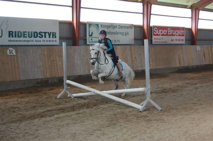 Anden særlig race Hermann:* - Springer på ham for første gang <3 billede 10