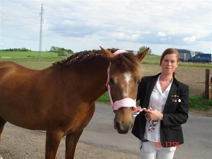 New Forest Roløkke Alpe billede 8