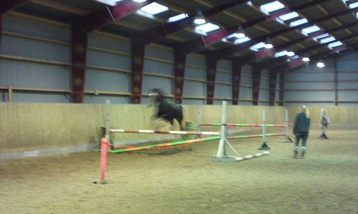 Anden særlig race Sonda Ferry billede 18