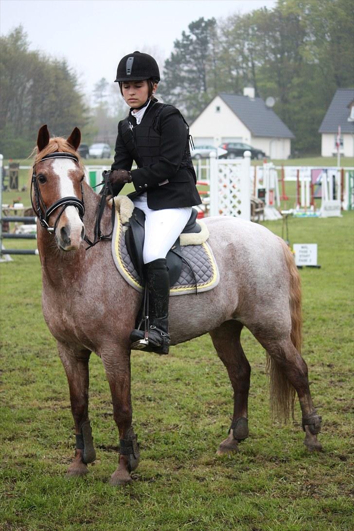 Anden særlig race Mario - da vi skulle ind og hente roset :D billede 12