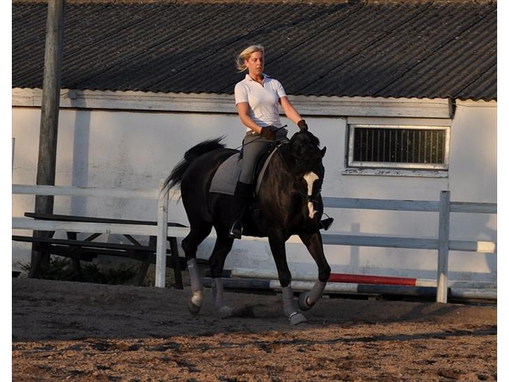 {{currentPhoto.altText}} billede {{currentPhoto.number}}