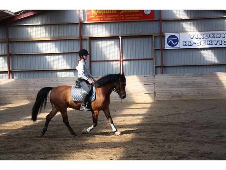 {{currentPhoto.altText}} billede {{currentPhoto.number}}