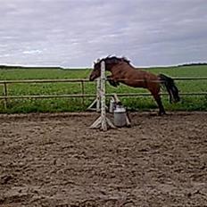 Anden særlig race Frej - Skinken <3