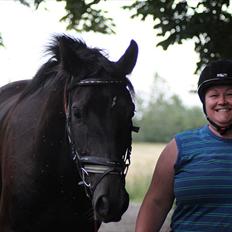 Dansk Varmblod Rawallo Sky.