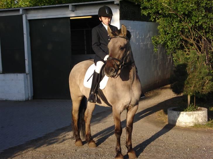 Anden særlig race Søstrenegaards Milla billede 17