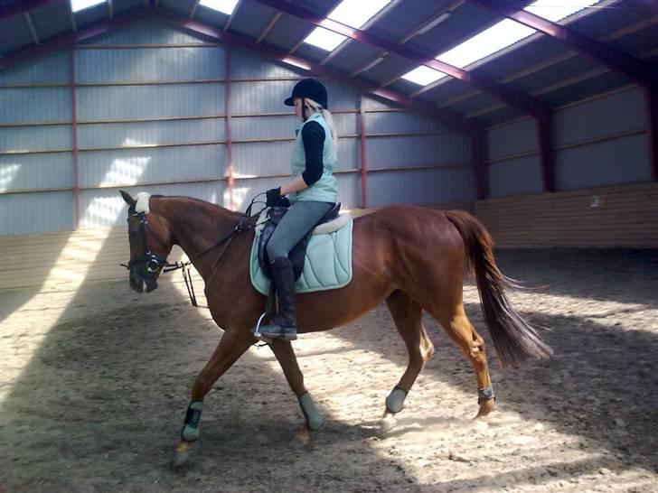 Fuldblod (XX) **Refreshment** R.I.P billede 19