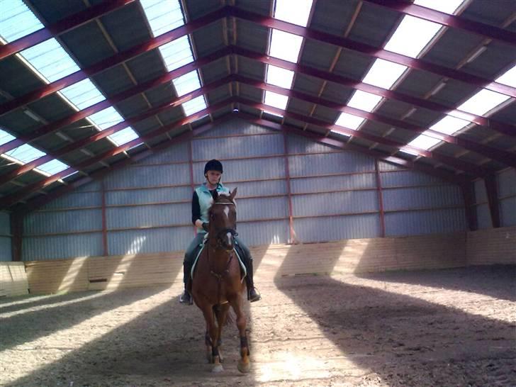 Fuldblod (XX) **Refreshment** R.I.P billede 20