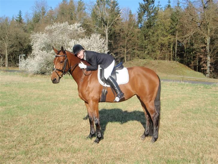 Holstener Pitou - C-stævne i Viborg d. 18/4 09 La3 billede 7