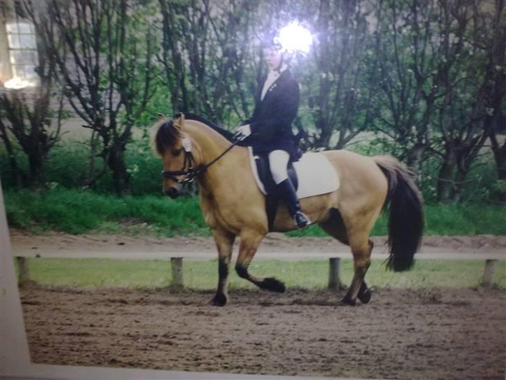 Anden særlig race Frej - Skinken <3 - fra hans yngre dage. foto: ? billede 5