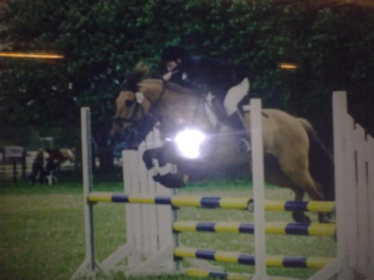 Anden særlig race Frej - Skinken <3 - fra hans yngre dage. foto: ? billede 6