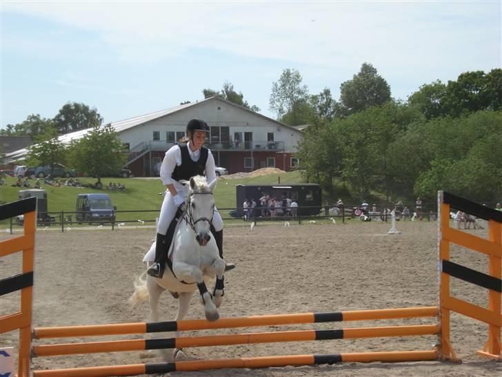 Connemara  Lorenzo(Rideskolehest) - Mig og Lolo springer 50 cm :D billede 19