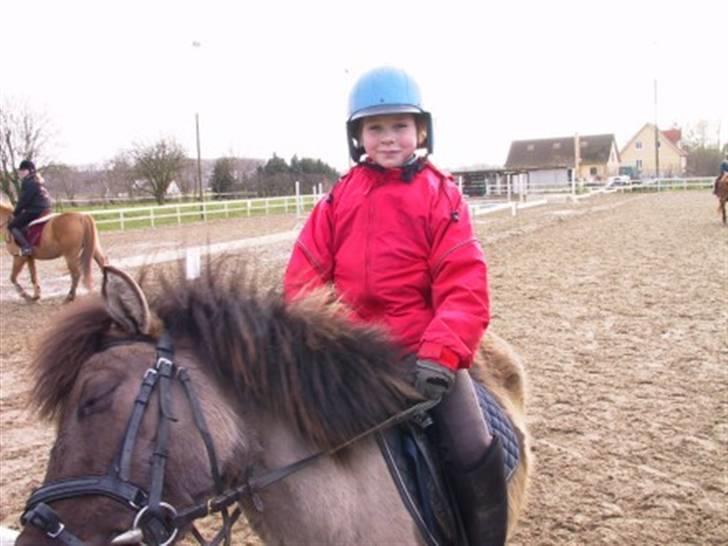 Shetlænder Musse  <3 ( Passer) - Dengang vi var små og søde thihi ;) billede 14