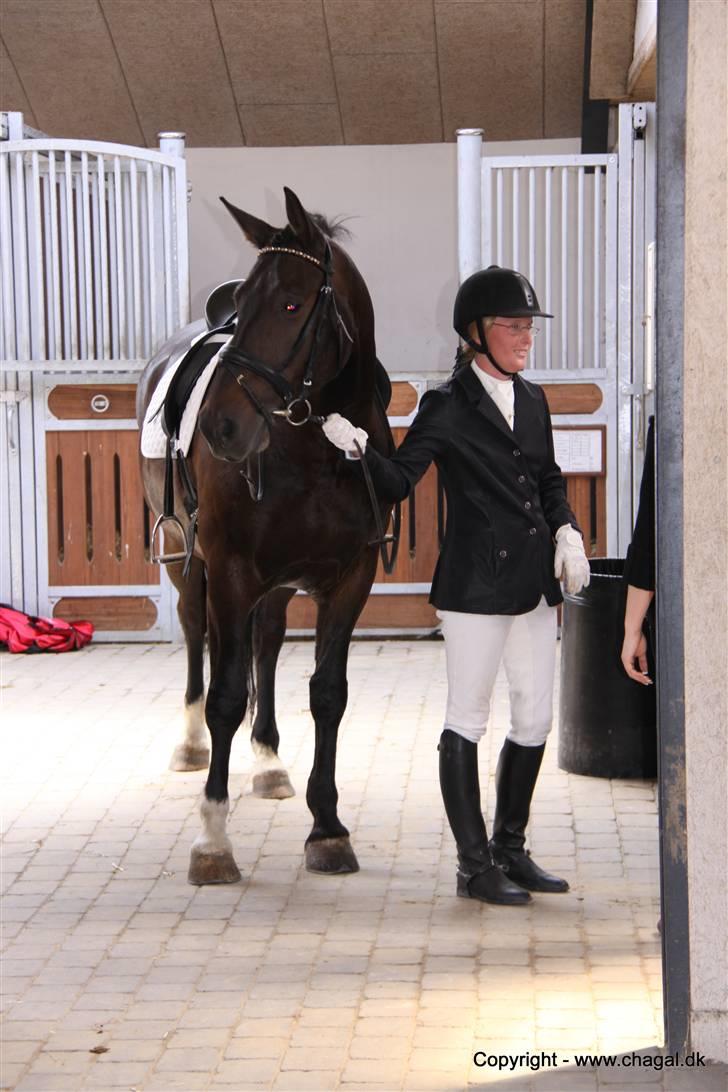 Oldenborg frodo - på vej ind til en la2  billede 18