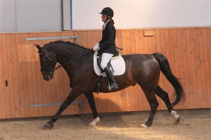 Oldenborg frodo - la2 på hjemmebane i middelfart billede 19