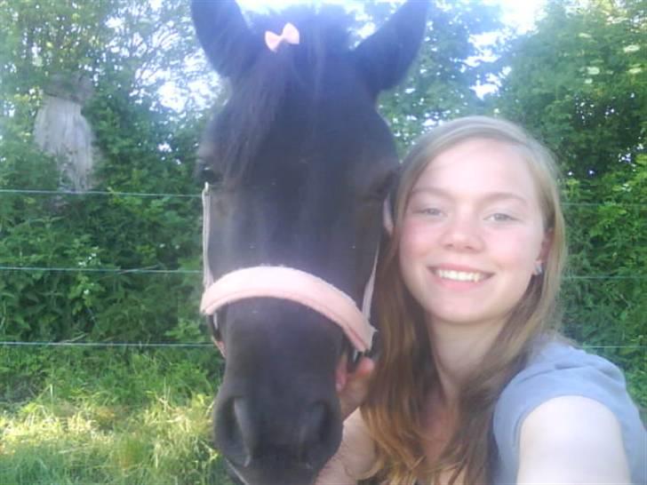 Shetlænder Sally - 12. Sally og miig billede 12