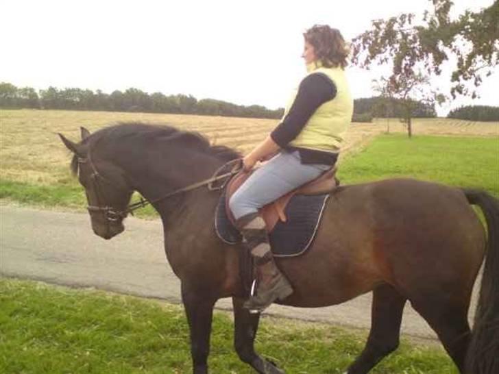 Oldenborg sentinali af danevang billede 4