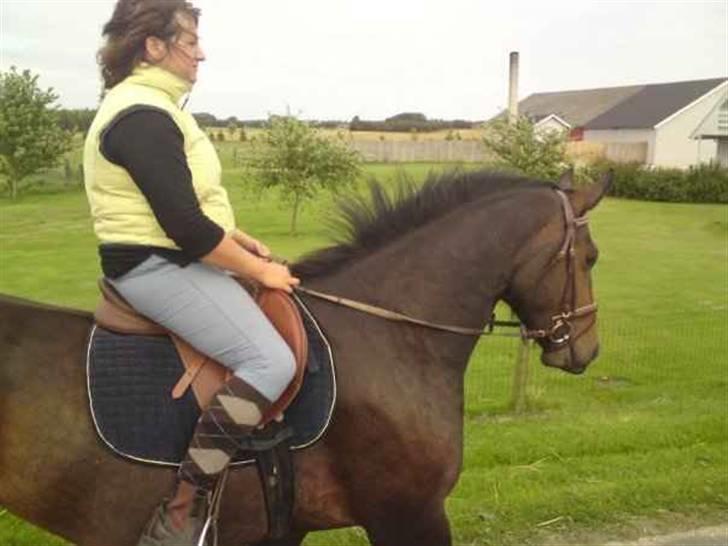 Oldenborg sentinali af danevang billede 5