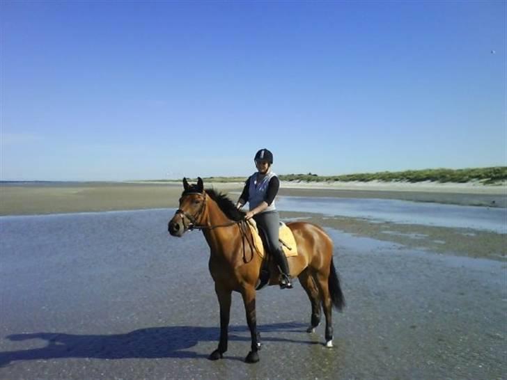 Anden særlig race Lady Liva - R.I.P - Liva maj 2009 billede 8