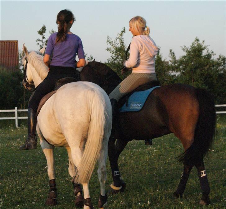 New Forest Odbjergs Batik - Katinka og batik skridter sammen ;D billede 17