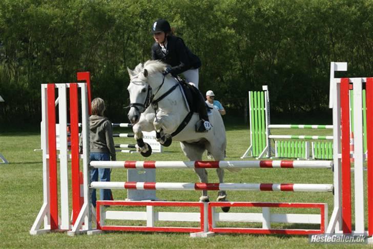 New Forest Odbjergs Batik - stævne i vror fotomb billede 20