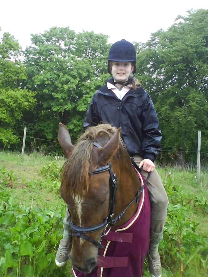 Anden særlig race  brietta (savnet) SOGLT - <3 billede 4