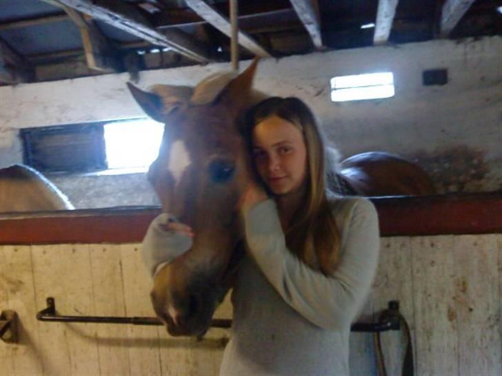 Anden særlig race Picasso!<3 - savnet. billede 3