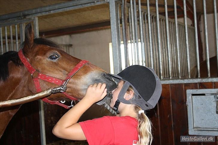 Anden særlig race Laban |*Mit ét og alt<3*| - et lille kys til den mest dejlige i mit liv<3! billede 7