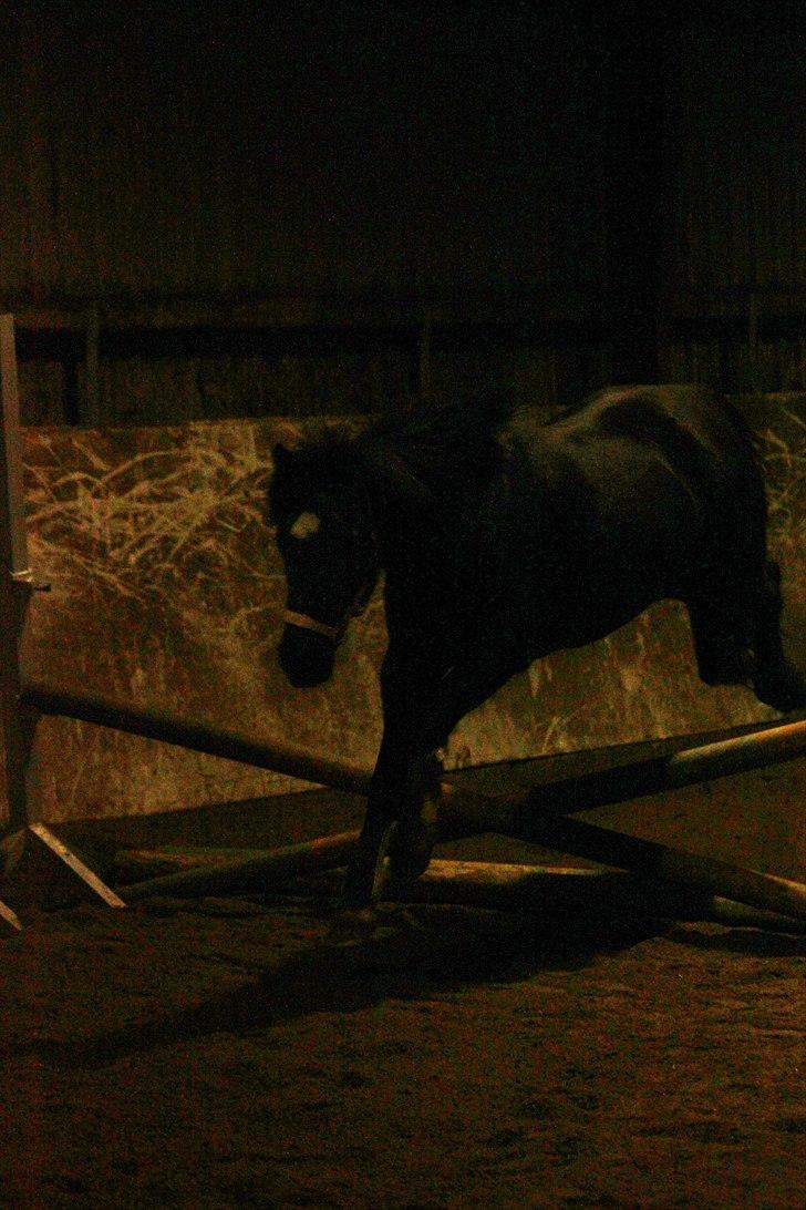 Anden særlig race : Soulmate (Perle) - 3# gnubbe med Baby :) billede 4
