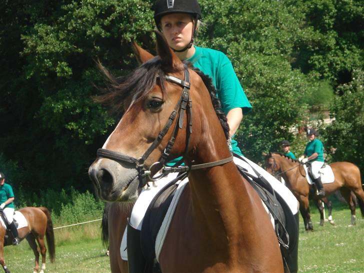 Anden særlig race Torja (Halvpart) - Tenna og Torja lør. d 27.6 09 #17 billede 17