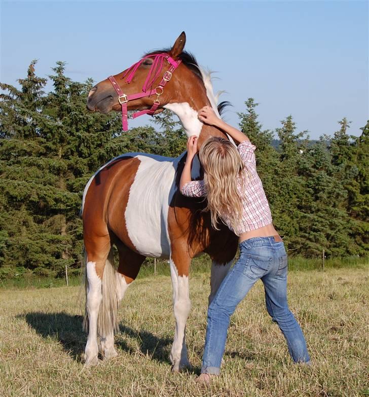 Pinto SIR PATRICK B-pony  - Laura gir Patrick en klø tur.... det bedste han ved:) billede 10