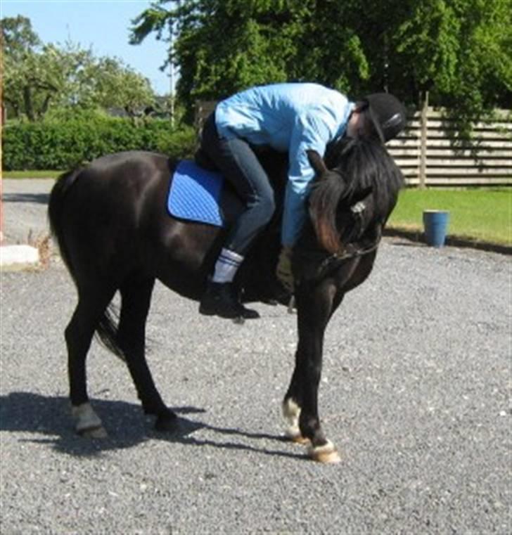 Anden særlig race : Soulmate (Perle) - 15 # I will always love you <3 billede 15