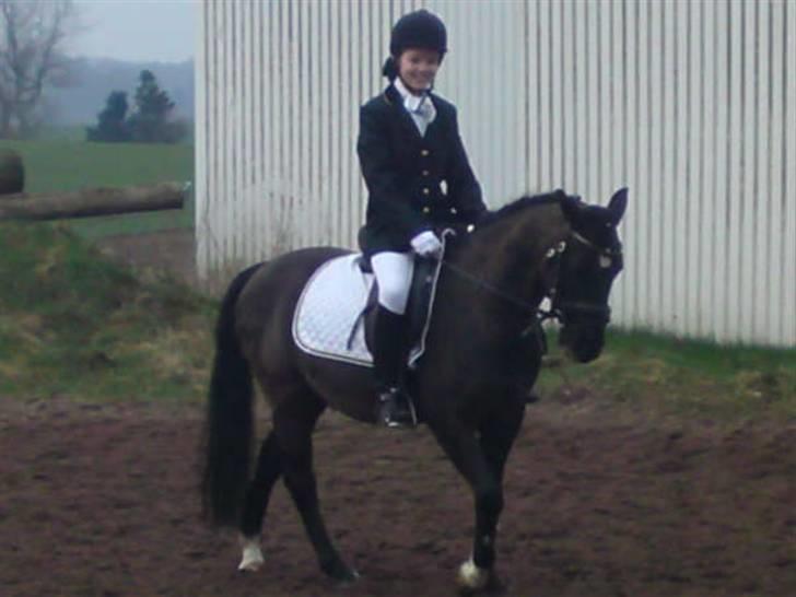 New Forest meteor - Til stævne på Kværnbækgåd skulle starte lc1 og lc3 billede 13