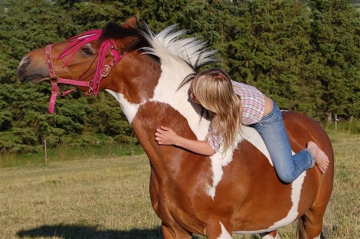 Pinto SIR PATRICK B-pony  - bedste venner<3<3 billede 14