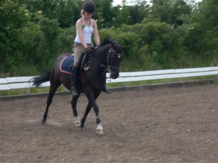 New Forest meteor - Til træning billede 14