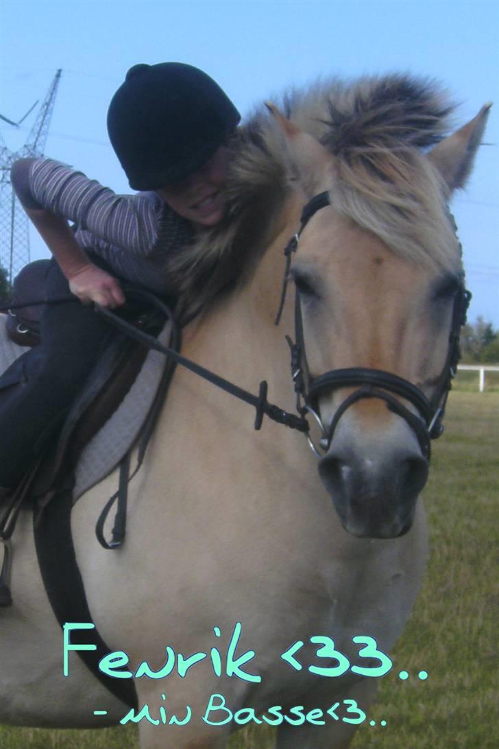 Anden særlig race Fenrik<3 tidl. rideskole* - Fenrik<3.. min  skattedreng.. <3 Fotograf: Melanie Montalban billede 1