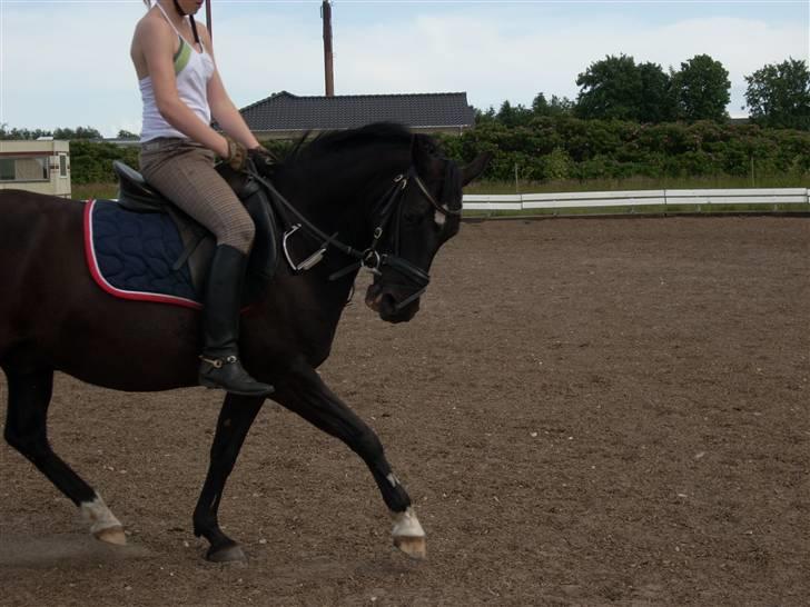 New Forest meteor - Her kommer jeg!! billede 16