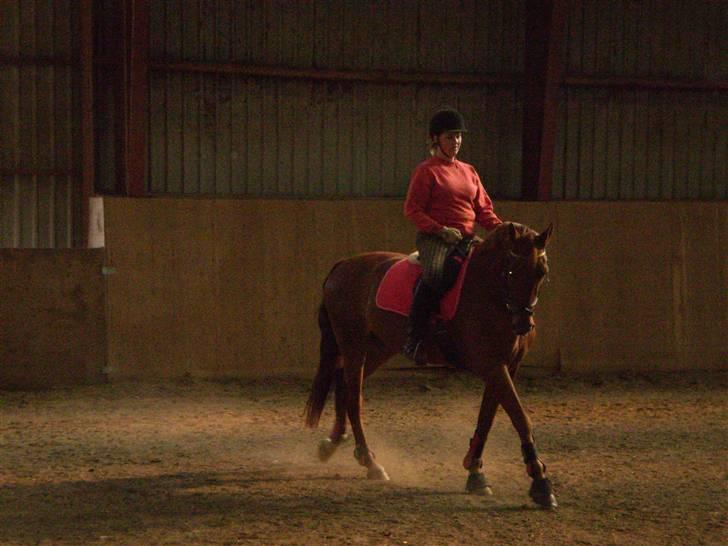 Anden særlig race Con Amour Cisca *solgt* billede 6