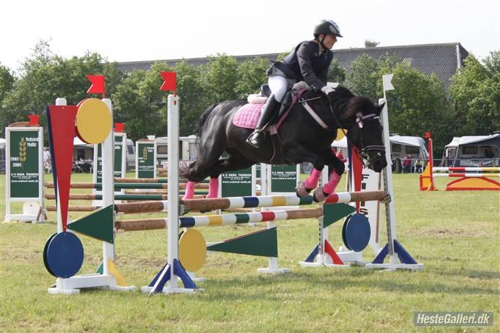 Anden særlig race Toxic Daisy - Daisy sparng så højt over hun var lige ved at springe mig ud af sadlen billede 3