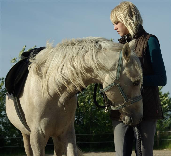 Anden særlig race Kosmo van Klaverborch - 09. billede 13