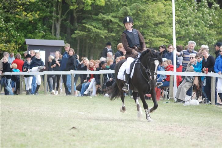 Anden særlig race |fenja| - {18} morsø- LA fejlfri.  Sara K og Fenja. billede 17