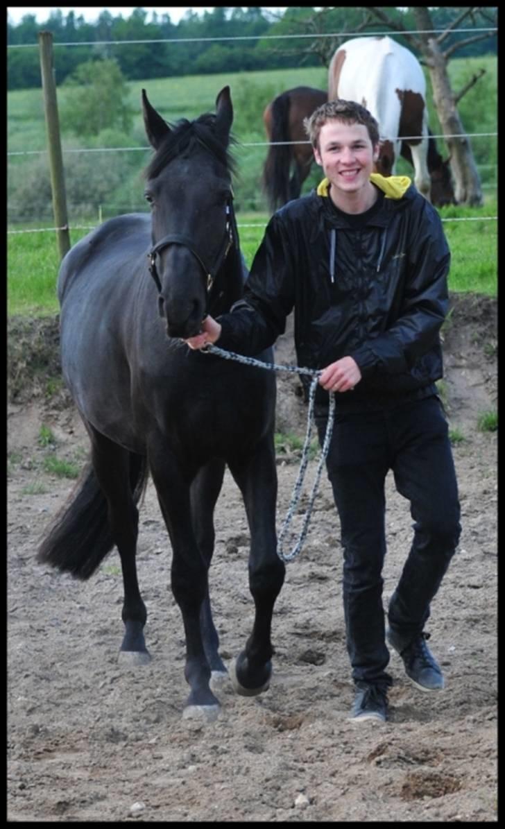 Anden særlig race Electric Blue  - Kort tid efter jeg fik hende :) 30 maj 2009  billede 9