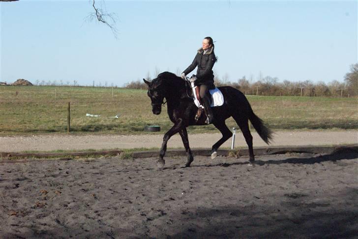 Dansk Varmblod Djursland's Pixiline-SOLD - Pixiline og Jeanette. billede 7