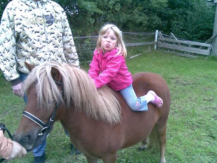 Shetlænder Egon Sporup - Egon med lille frække Ida :D billede 17